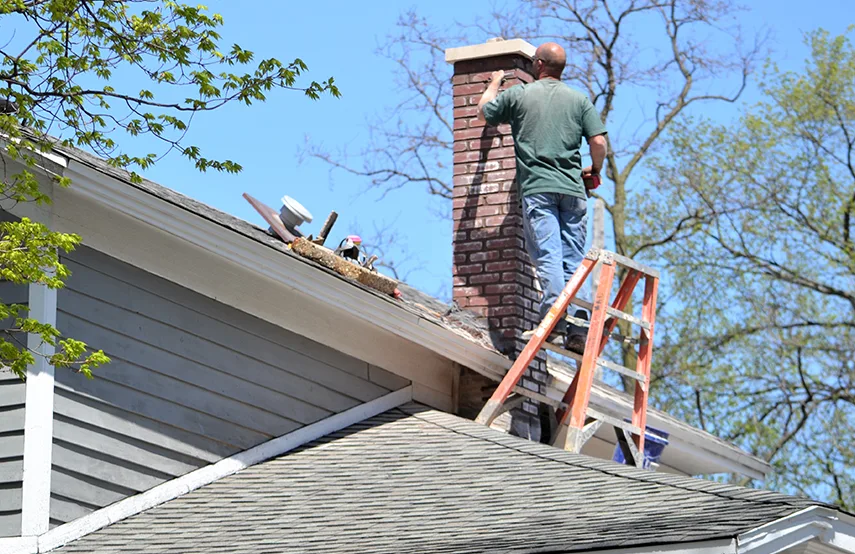 Chimney & Fireplace Inspections Services in Laredo, TX